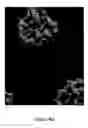 Fig. 08 - Carbon nanotube foam and method of making and using thereof