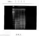 Fig. 02 - Composition and method for inhibition of microorganisms