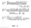 Fig. 06 - Humanised antibodies