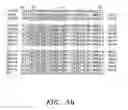 Fig. 08 - Humanised antibodies