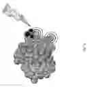 Fig. 16 - Inhibitors of extracellular Hsp90