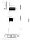 Fig. 31 - Inhibitors of extracellular Hsp90