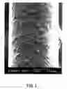 Fig. 02 - Medical guide wire and process for production thereof