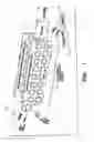 Fig. 02 - Electro-optical nucleic acid-based sensor array and method for detecting analytes