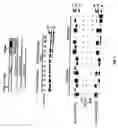 Fig. 05 - Methods and compositions involving sortase B