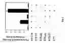 Fig. 06 - Methods and compositions involving sortase B