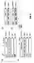 Fig. 07 - Cytokine structurally related to IL-17