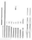 Fig. 02 - DNA sequences encoding dystrophin minigenes and methods of use thereof
