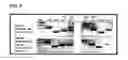 Fig. 09 - Method for chondrocyte expansion with phenotype retention