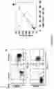 Fig. 02 - Rapid generation of activated mononuclear antigen presenting cells from monocytes