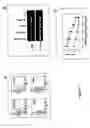 Fig. 03 - Rapid generation of activated mononuclear antigen presenting cells from monocytes