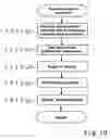Fig. 07 - Method, apparatus, reagent kit and reagent for distinguishing erythrocytes in a biological specimen