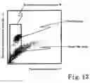 Fig. 09 - Method, apparatus, reagent kit and reagent for distinguishing erythrocytes in a biological specimen