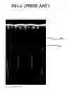 Fig. 06 - Methods of fabricating flash memory devices with floating gates that have reduced seams