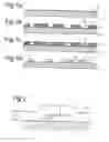Fig. 02 - Method for maskless fabrication of self-aligned structures comprising a metal oxide