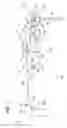 Fig. 02 - Apparatus and methods for delivering compounds into vertebrae for vertebroplasty