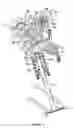 Fig. 02 - Variable valve train mechanism of internal combustion engine
