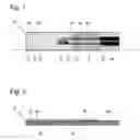 Fig. 02 - Measuring device and measuring method for detecting analytes