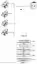 Fig. 08 - Methods and systems for providing remote, descriptor-related data to an imaging device
