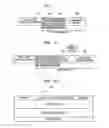 Fig. 02 - Method for generating and authenticating address automatically in IPv6-based internet and data structure thereof