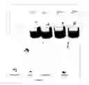 Fig. 02 - Penetration of copper-ethanolamine complex in wood