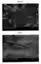 Fig. 06 - Recording medium, production process of the recording medium and image forming process using the recording medium