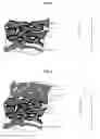 Fig. 07 - Recording medium, production process of the recording medium and image forming process using the recording medium