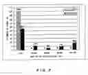 Fig. 08 - Vectors for animal cells and use thereof