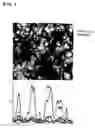 Fig. 02 - Metal colloid and catalyst produced from such metal colloid