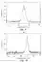 Fig. 07 - Complex mixtures of ions and processes for deposition