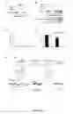 Fig. 09 - CaMKII/calcium channel binding-related compositions and methods