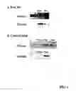 Fig. 02 - Compounds and methods for increasing neurogenesis