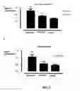 Fig. 03 - Compounds and methods for increasing neurogenesis