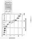 Fig. 02 - High affinity nucleic acid ligands of complement system proteins