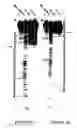 Fig. 04 - High affinity nucleic acid ligands of complement system proteins