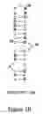 Fig. 07 - High affinity nucleic acid ligands of complement system proteins