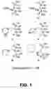 Fig. 02 - Biophosphonate compounds and methods for bone resorption diseases, cancer, bone pain, immune disorders, and infectious diseases