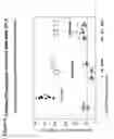 Fig. 07 - Methods of treating and preventing bone loss
