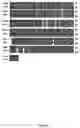 Fig. 02 - Compositions and use of inflammation-20 (Inf-20) gene