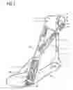 Fig. 02 - Ankle brace