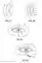 Fig. 08 - Mask configured to maintain nutrient transport without producing visible diffraction patterns