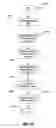 Fig. 18 - Directory aggregation for files distributed over a plurality of servers in a switched file system