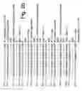 Fig. 04 - Parallel operations on multiple signed elements in a register