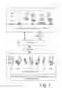 Fig. 02 - Content management across shared, mobile file systems