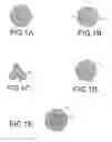 Fig. 02 - Elastomeric multicomponent fibers, nonwoven webs and nonwoven fabrics