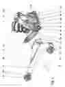 Fig. 02 - Strut with an elastic wheel carrier mount