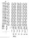 Fig. 03 - Programmable non-volatile semiconductor memory device
