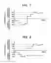 Fig. 07 - Image forming apparatus featuring first and second cleaning members wherein a voltage applied to the second cleaning member is changeable