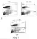Fig. 06 - Methods for the prevention against or treatment of diabetes with ETXB and/or insulin