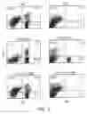 Fig. 07 - Methods for the prevention against or treatment of diabetes with ETXB and/or insulin